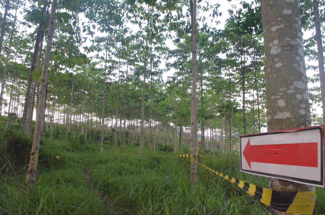 Ibis Budget Cikarang Festival Bekasi Luaran gambar